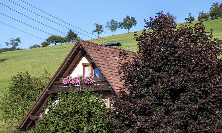 Kornbauernhof Apartment Oberharmersbach Exterior photo